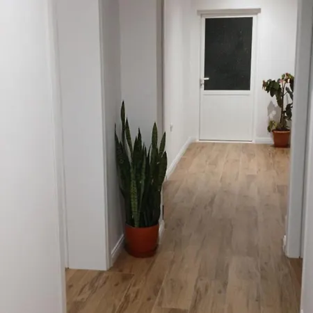 Pensionat Citrusnest Berat