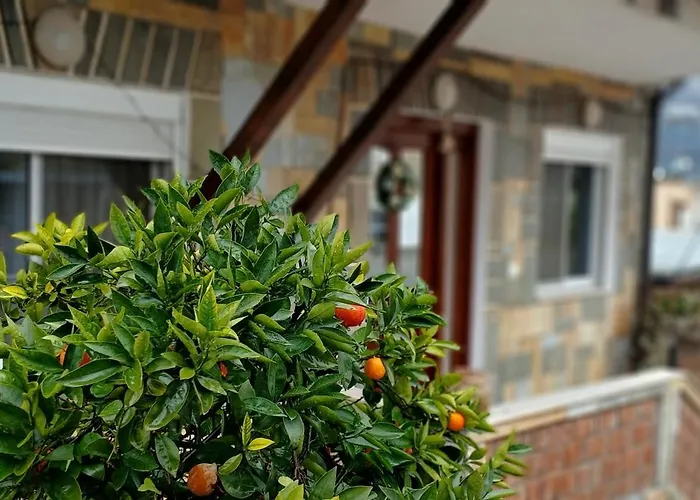 Citrus Garden Affittacamere 3*