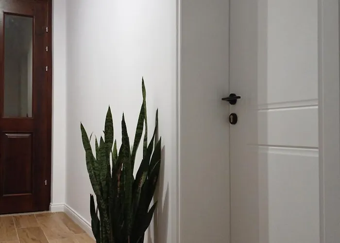 Citrus Garden Affittacamere 3*