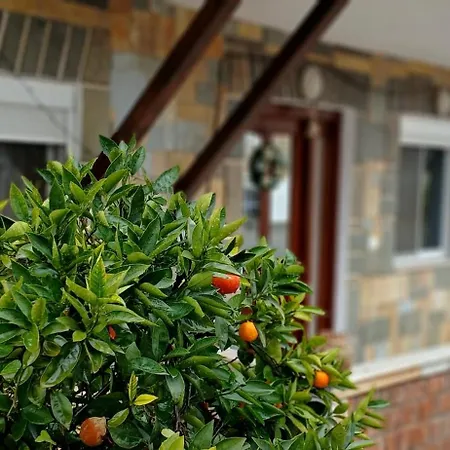 Citrus Garden Gæstehus 3*