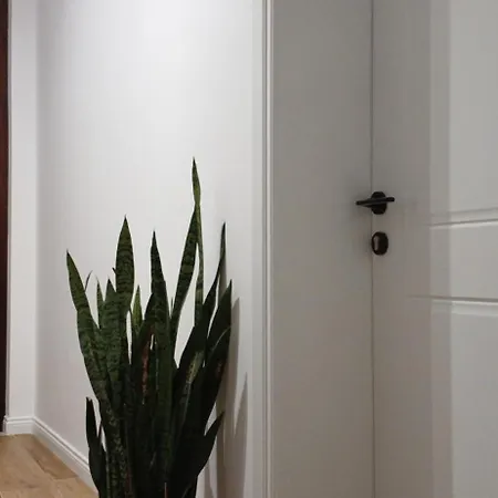 Citrusnest Konukevi 3*