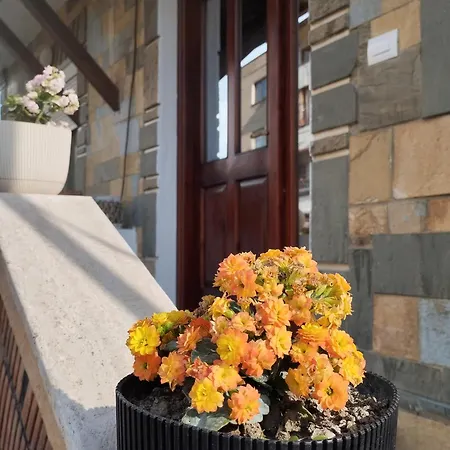 Citrusnest Konukevi 3*