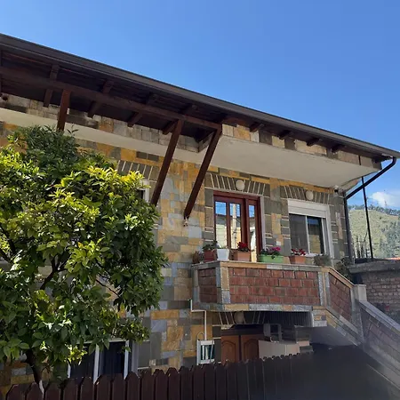 Citrus Garden 3* 베라트