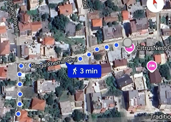 게스트하우스 Citrus Garden